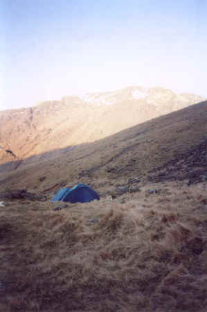 1996-007.jpg (36738 bytes)