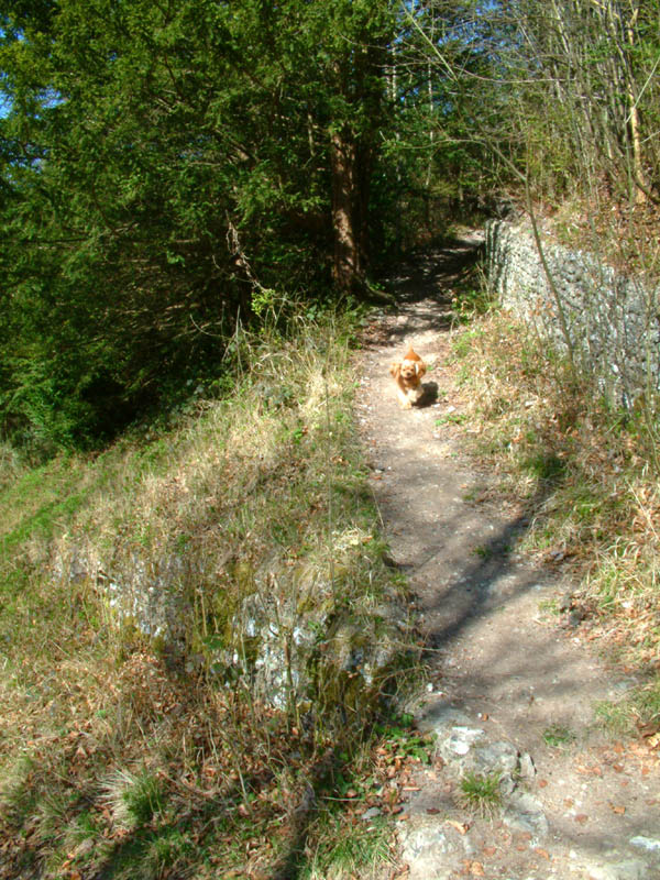 George descending a side-path (click for larger photo)