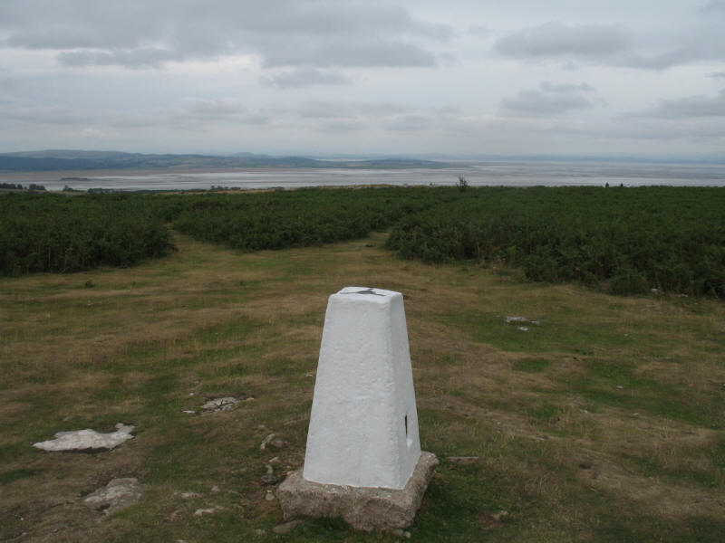 Trig pillar, Birkrigg Common