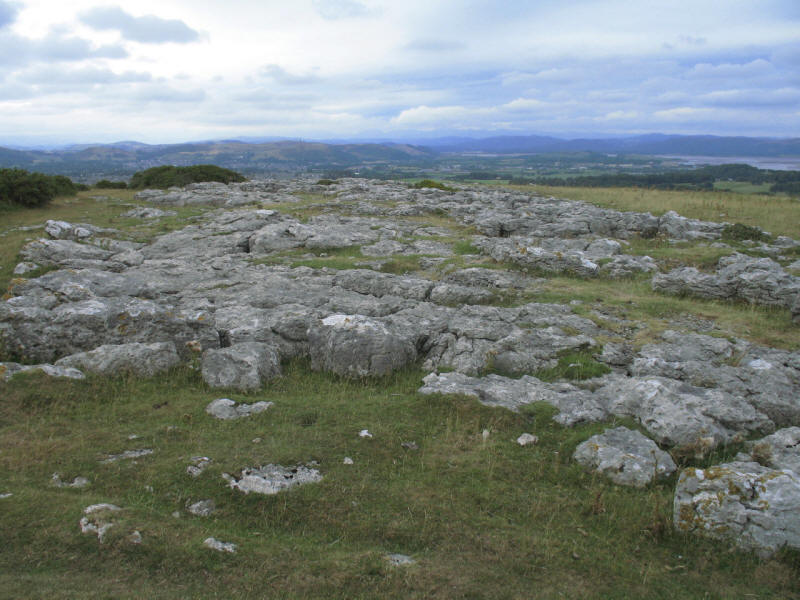 limestone pavement, Birkrigg Common