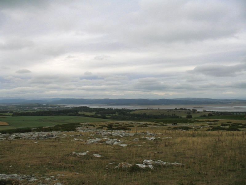 limestone pavement on Birkrigg Common