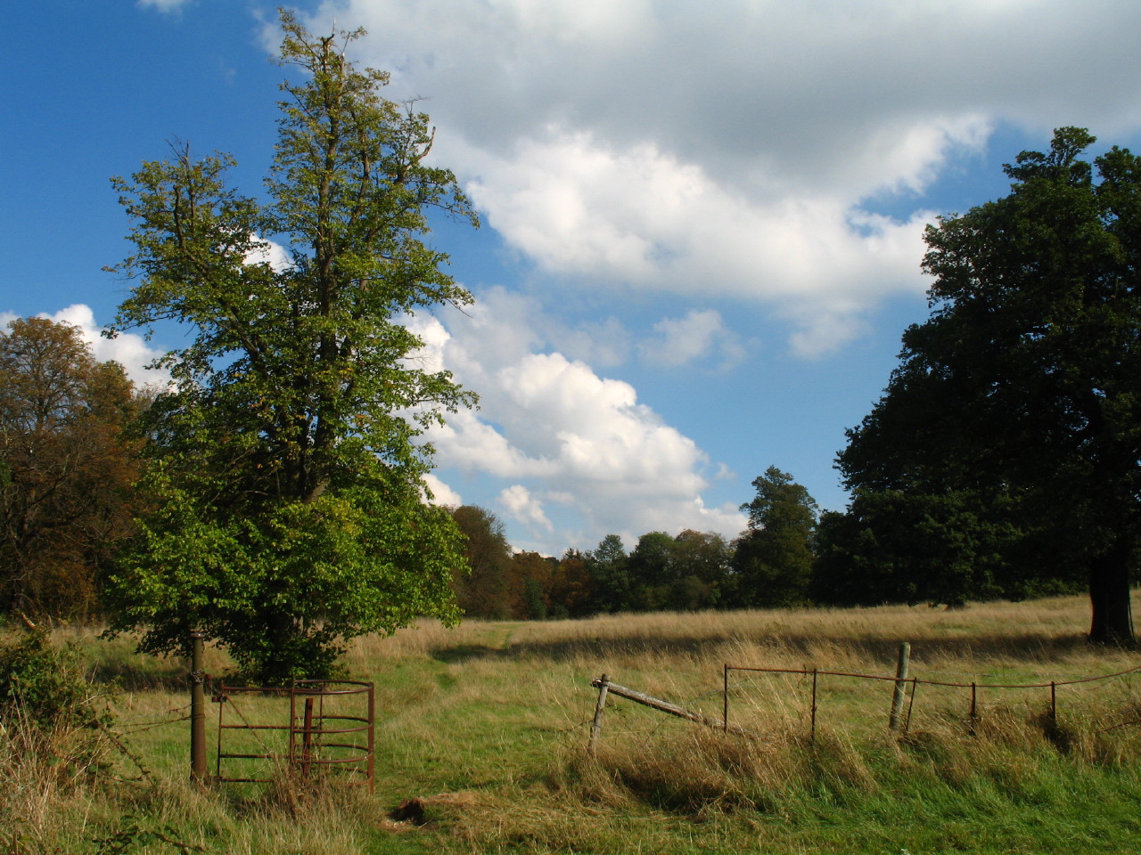 Aldenham Country Park