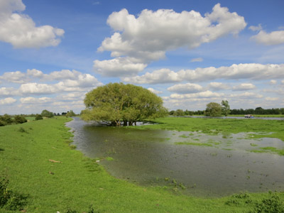 River Great Ouse between Holywell and Earith