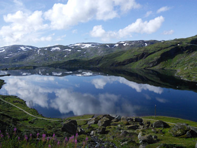 View from the Bergen Line train on the Hardangervidda plateau