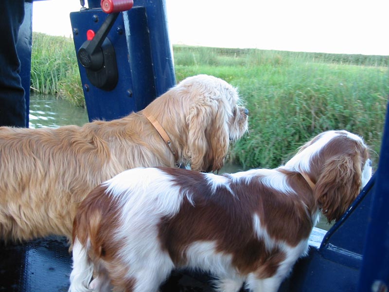 George and Henry looking at the Oxford Canal