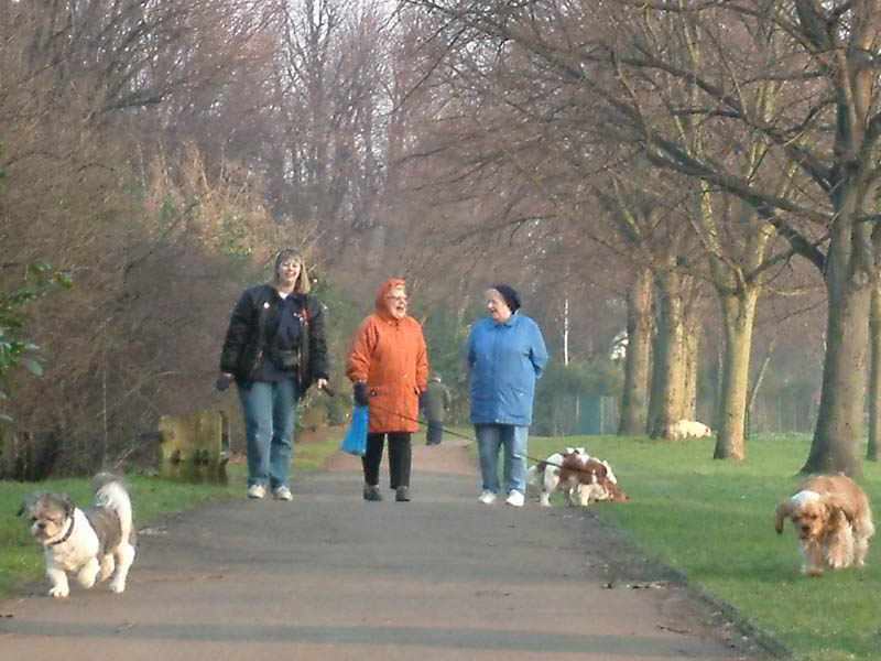 dscf0131m.jpg (104104 bytes)