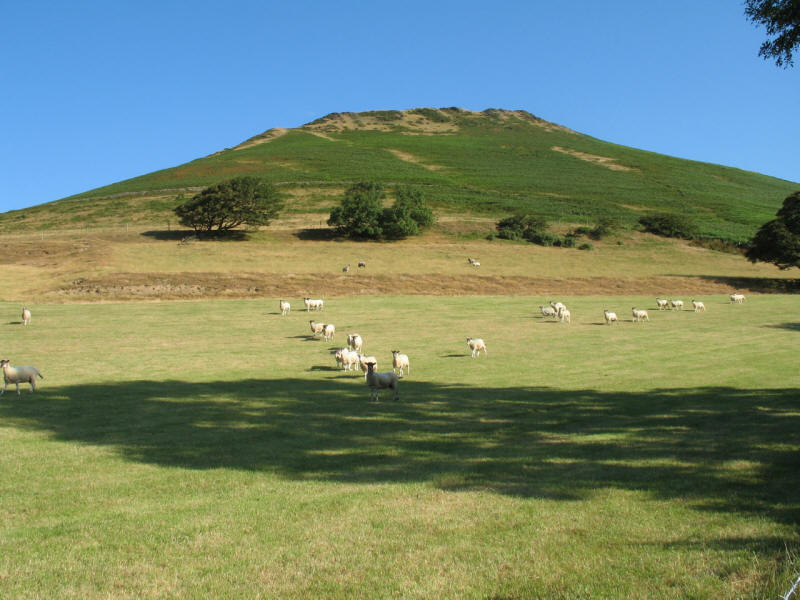 White Hall Knott