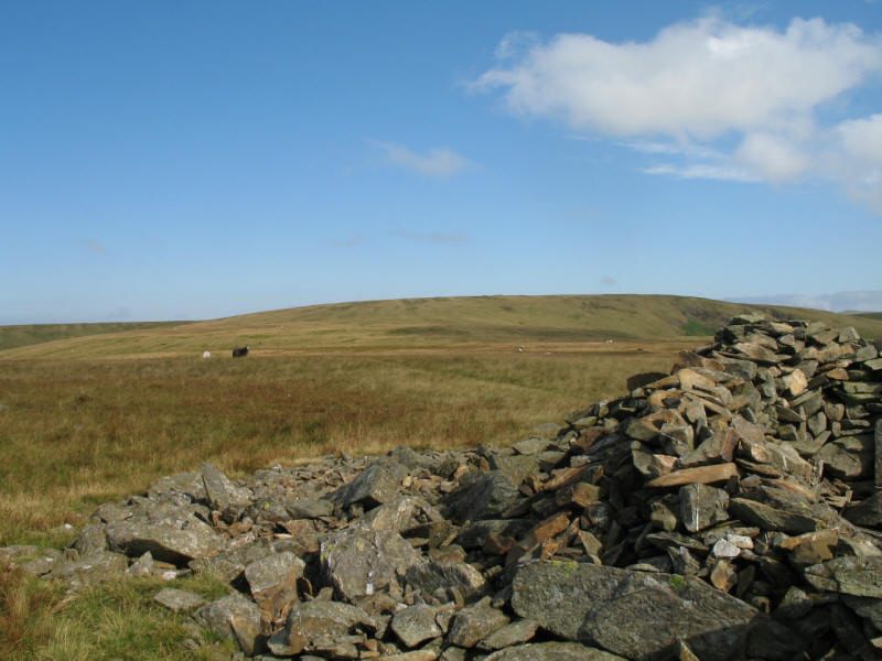 Stoupdale Head from White Combe