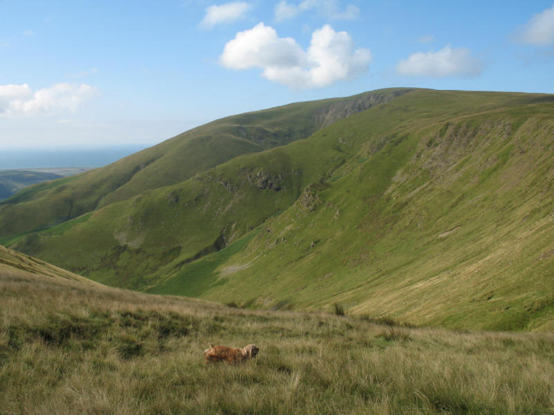 Whitecombe Beck and Black Combe