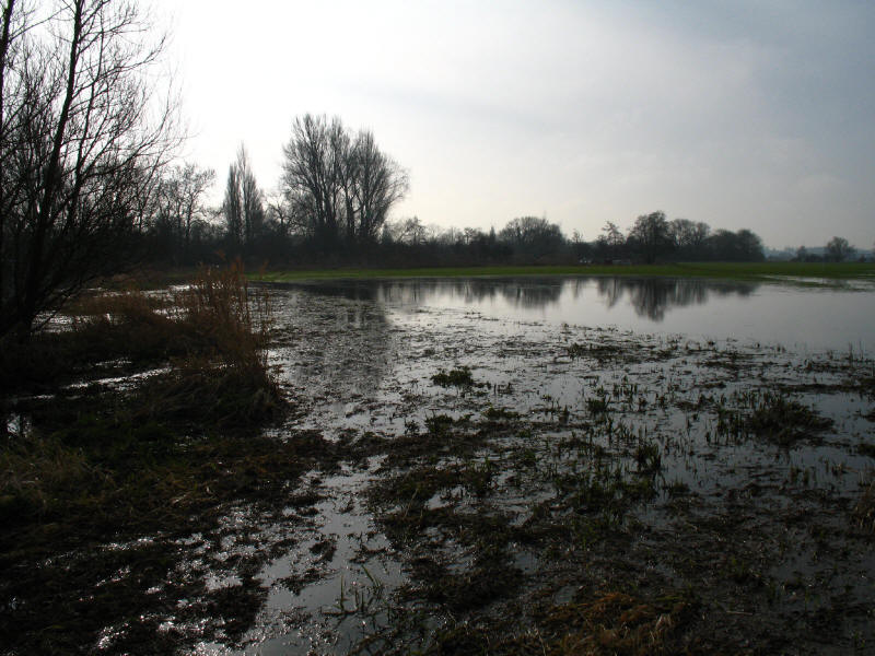 Flooded towpath above Shiplake