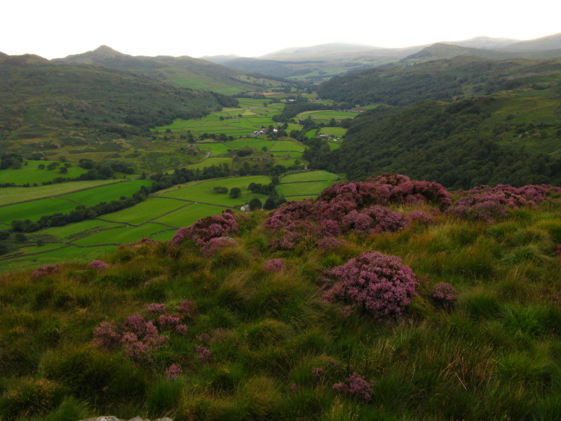 Wallowbarrow Crag