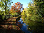 Autumn colours on the New River in Enfield