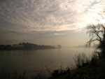 misty River Thames near Barnes
