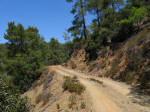 Dirt road in Troodos mountains, Cyprus